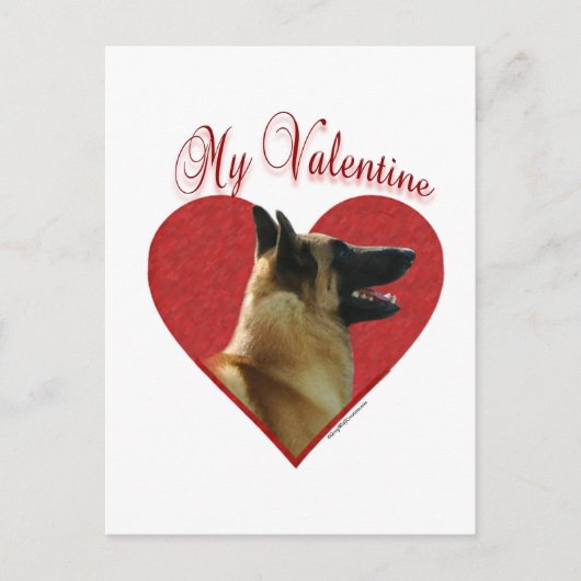 Belgian Malinois Mijn Valentijn Feestdagenkaart (Voorkant)