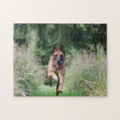 Belgian Malinois Running Legpuzzel (Horizontaal)