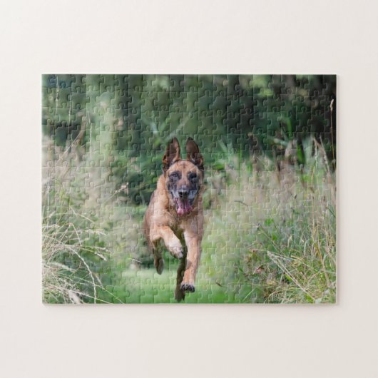 Belgian Malinois Running Legpuzzel (Horizontaal)