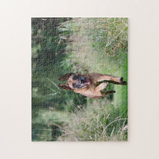 Belgian Malinois Running Legpuzzel (Verticaal)
