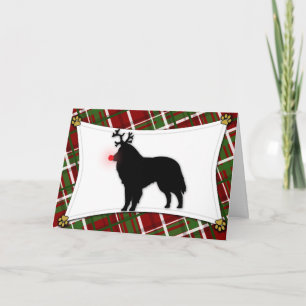 Belgian Sheepdog Reindeer Christmas Card Feestdagen Kaart
