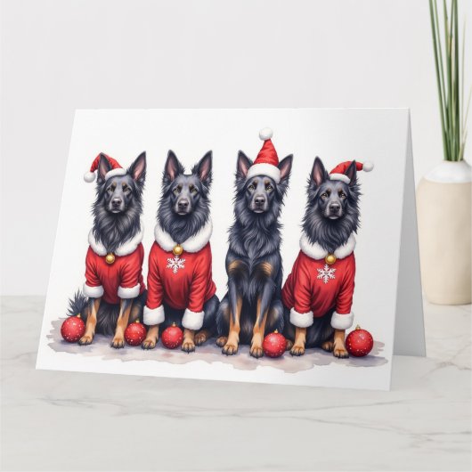 Belgian Shepherd Christmas Dress Santa Hat Kaart (Voorkant)