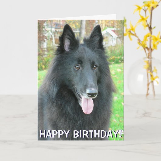 Belgian Shepherd Dog wenskaart Kaart (Gele Bloem)