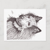 BELGIAN SHEPHERD GROENENDAEL BRIEFKAART (Voorkant)