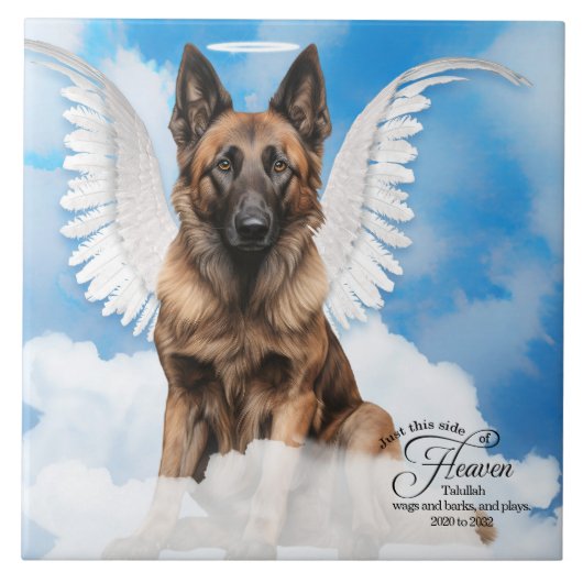 Belgian Tervuren Angel Gepersonaliseerd Gedenkteke Tegeltje (Voorkant)