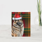 Belgian Tervuren Christmas Dog Holiday Plaid Feestdagen Kaart (Voorkant)