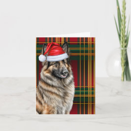 Belgian Tervuren Christmas Dog Holiday Plaid Feestdagen Kaart
