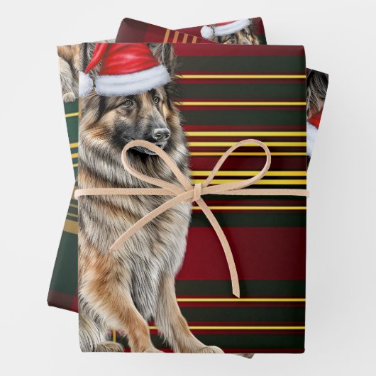 Belgian Tervuren Christmas Dog Holiday Plaid Inpakpapier Vel (In situ)
