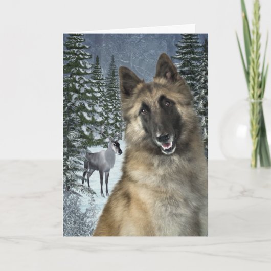 Belgian Tervuren Christmas Kaart (Voorkant)