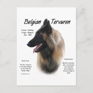 Belgian Tervuren Meet the Breed Briefkaart