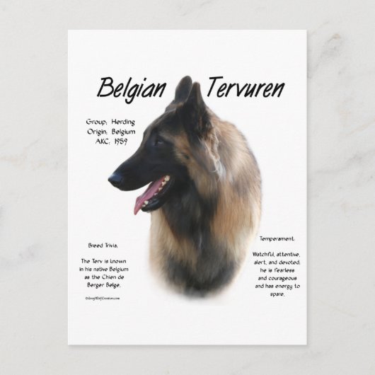 Belgian Tervuren Meet the Breed Briefkaart (Voorkant)