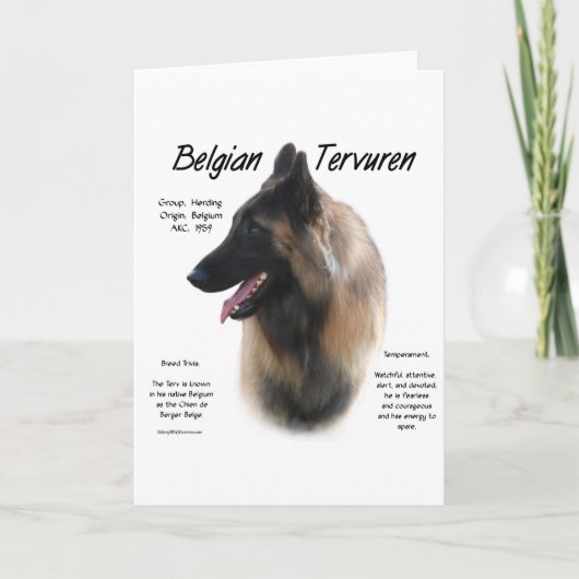 Belgian Tervuren Meet the Breed Feestdagen Kaart (Voorkant)