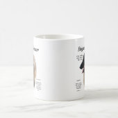 Belgian Tervuren Meet the Breed Koffiemok (Center)