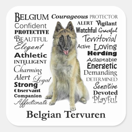Belgian Tervuren Stickers (Voorkant)