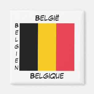 België Belgische Talen Vlaggen Square Magnet
