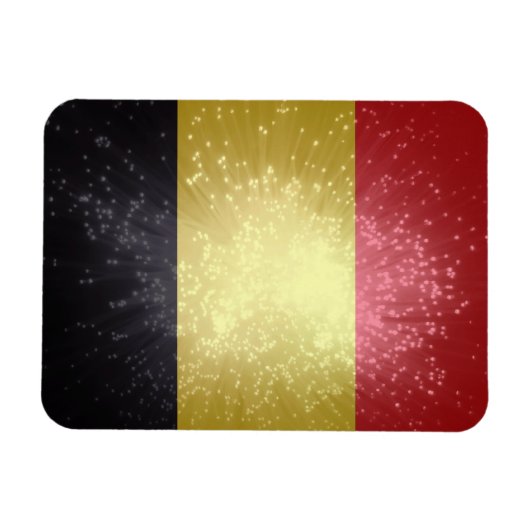 België; Belgische vlag Magneet (Horizontaal)