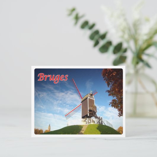 België - Brugge - Moulin - Briefkaart (Staand voorkant)