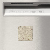 België en Frankrijk 2 Magneet (Insitu (Vaatwasser))