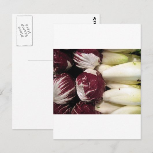 België Endigo Briefkaart (Voorkant / Achterkant)