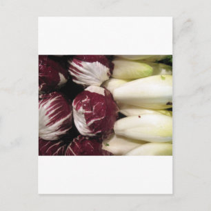 België Endigo Briefkaart