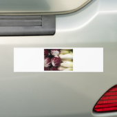 België Endigo Bumpersticker (Op auto)