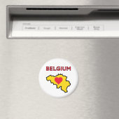 België Magneet (Insitu (Vaatwasser))