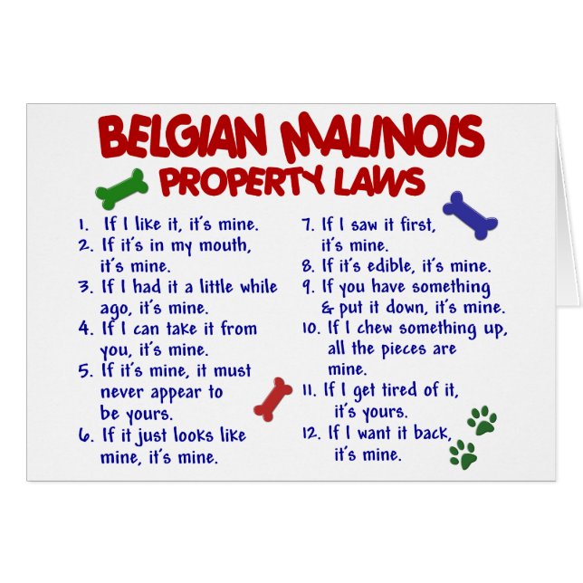 BELGIË MALINOIS PL2 (Voorkant Horizontaal)