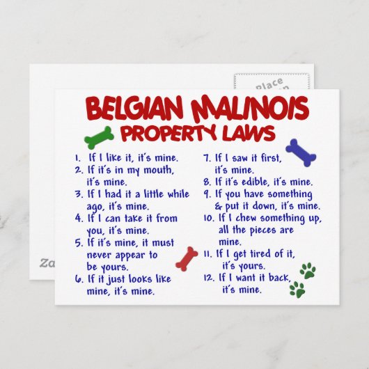 BELGIË MALINOIS PL2 BRIEFKAART (Voorkant / Achterkant)