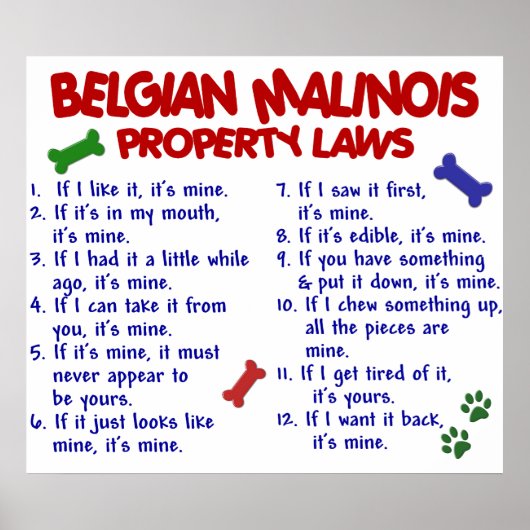 BELGIË MALINOIS PL2 POSTER (Voorkant)