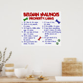 BELGIË MALINOIS PL2 POSTER (Keuken)