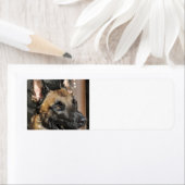 belgië malinois.png etiket (Insitu)