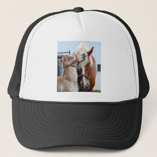 belgië Mare en Filly Trucker Pet (Voorkant)