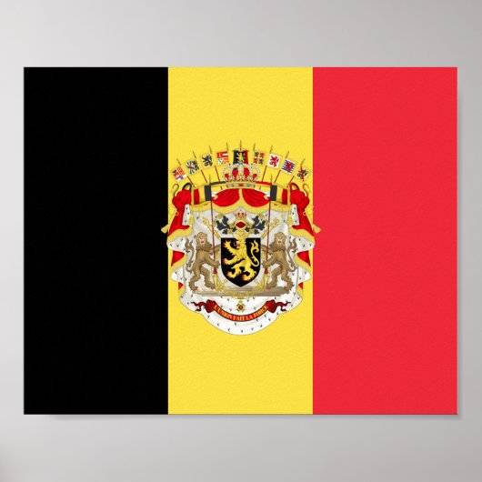 België vlag & COA Poster (Voorkant)