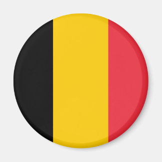 België vlag Magnet