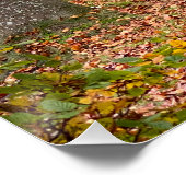 Belgisch bos in de herfst reizen perfect poster (Hoek)