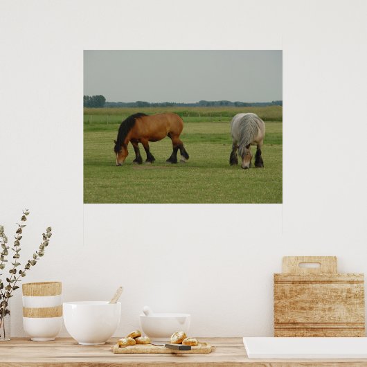 Belgisch conceptpaard: grijs, één bruin poster (Keuken)