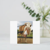 Belgisch conceptpaard, heb je worteltjes? briefkaart (Staand voorkant)