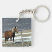 Belgisch conceptpaard in de Sleutelhanger Paddock (Achterkant)