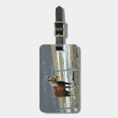 Belgisch conceptpaard in het Bagagelabel Paddock (Voorkant verticaal)