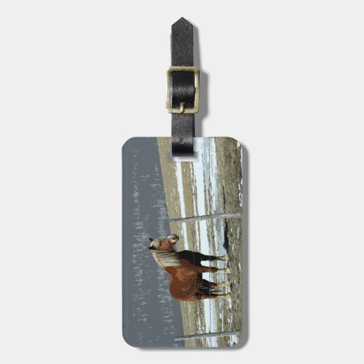 Belgisch conceptpaard in het Bagagelabel Paddock (Voorkant verticaal)