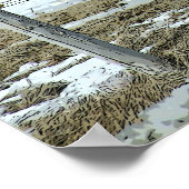 Belgisch conceptpaard in het Poster Paddock (Hoek)