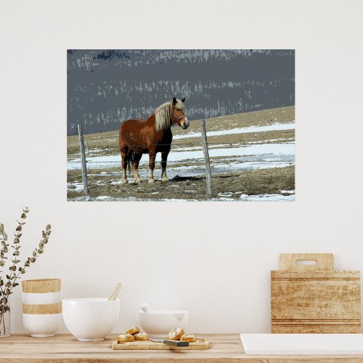 Belgisch conceptpaard in het Poster Paddock (Keuken)