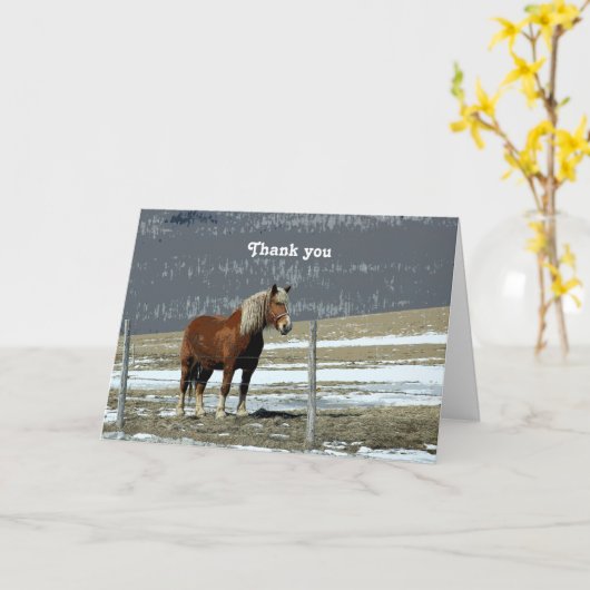 Belgisch conceptpaard in het Wenskaart Paddock Kaart (Gele Bloem)