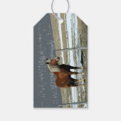 Belgisch conceptpaard in Label met paddock Gift Cadeaulabel (Voorkant)