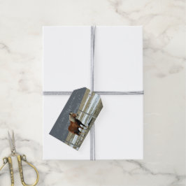 Belgisch conceptpaard in Label met paddock Gift Cadeaulabel