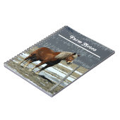 Belgisch conceptpaard in Notitieboek Paddock Spira (Linkerzijde)