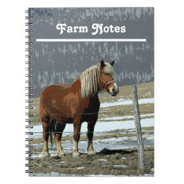 Belgisch conceptpaard in Notitieboek Paddock Spira