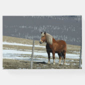 Belgisch conceptpaard in Paddock Guest Book Gastenboek (Achterkant)