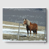 Belgisch conceptpaard in Paddock Guest Book Gastenboek (Achterkant)