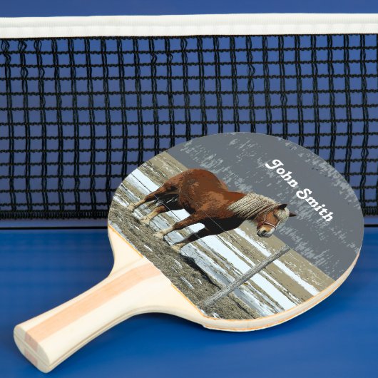 Belgisch conceptpaard in paddock pingpongpeddel tafeltennisbatje (Insitu)